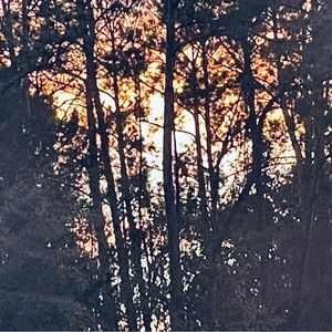 Meet your Posher, King